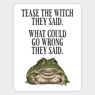 Tease The Witch They Said, What Could Go Wrong They Said Magnet